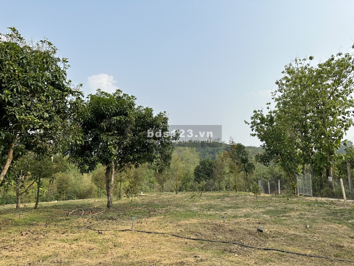Đất sổ đỏ cách hồ Trị An 150m, diện tích 1060 m2, ngang 16m. Đường ôtô , khu đông dân