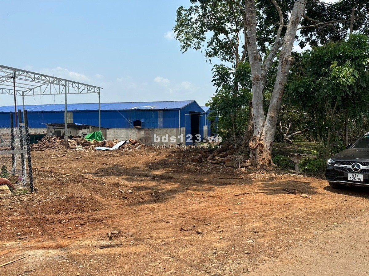 chính chủ cấn bán 250m2, có 100m thổ cư