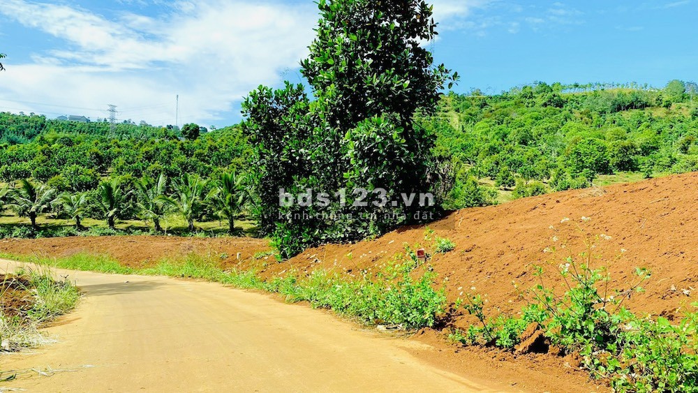 RẺ NHẤT THỊ TRƯỜNG BÁN LỖ 1298M2 ĐĂK WER CHỈ 257TR/SÀO