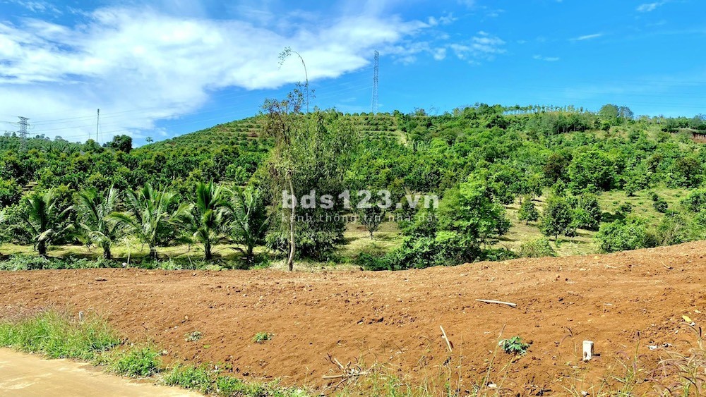 Rẻ nhất thị trường bán lỗ 1298M2 Đăk Wer chỉ 220 triệu/ sào