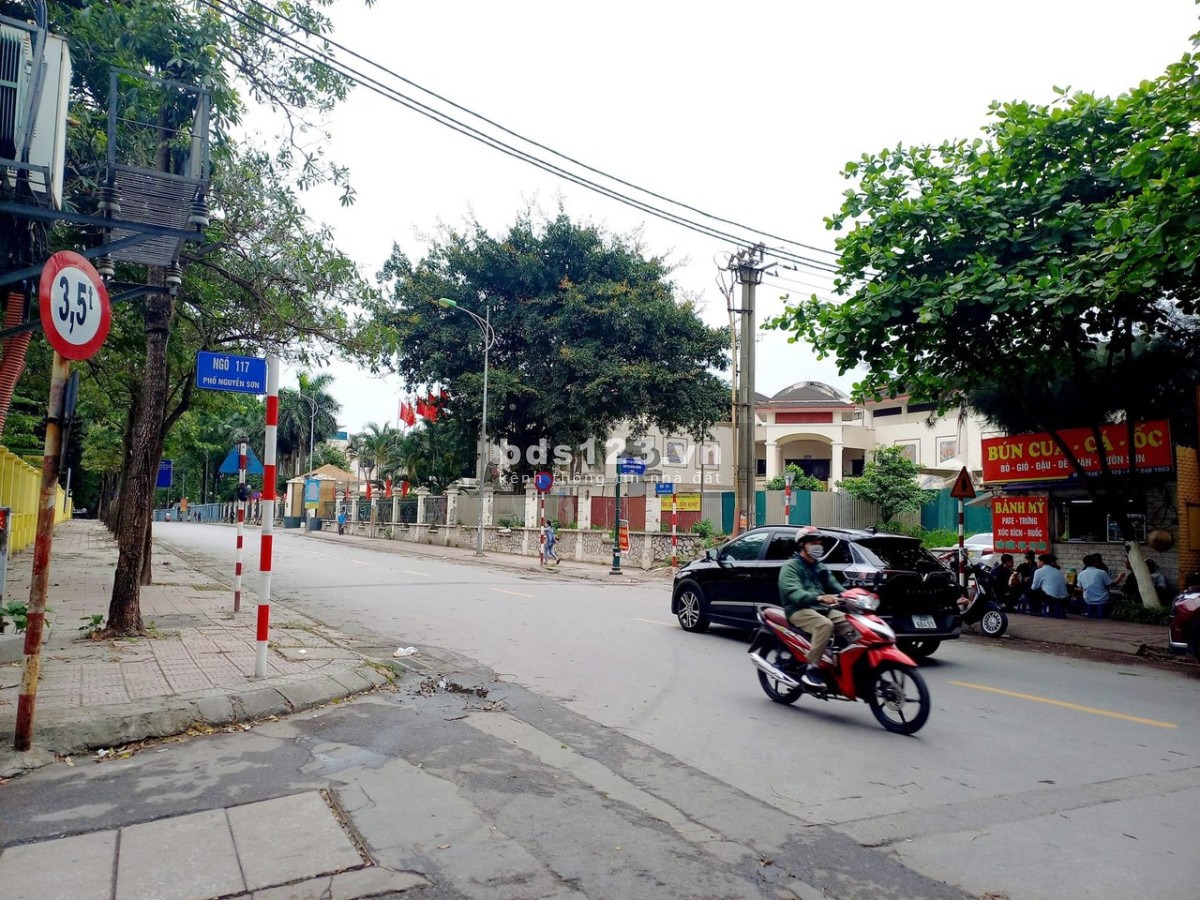 Bán nhà phố Nguyễn Sơn, khu phân lô VIP, 115m2, 12 tỷ