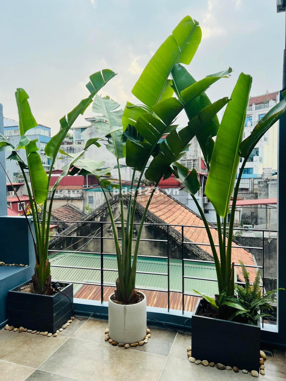 Bán nhà Xuân Diệu Tây Hồ 1 nhà ra phố ở sướng 4,5 tỷ.