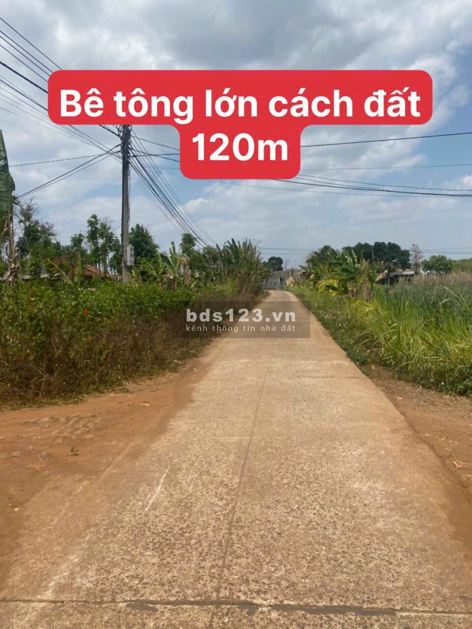 Sử hữu nền đất 556m² ngang 9x57 chỉ 1xx triệu