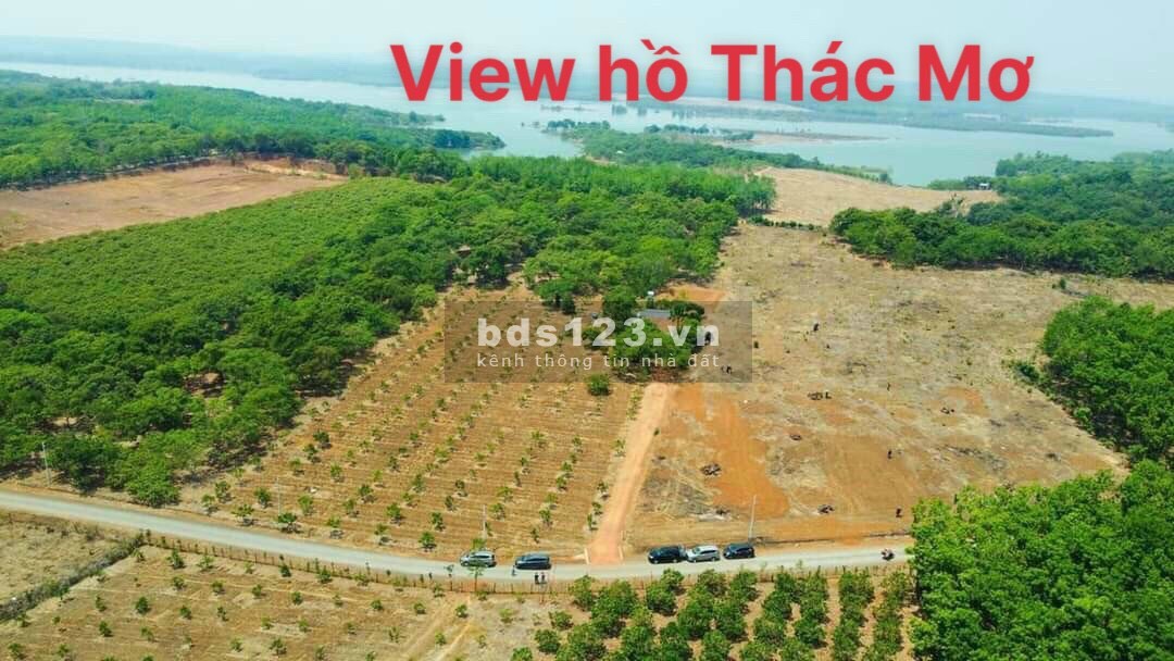 Giá thật 100% view hồ Thác Mơ giá chỉ 250 triệu/ nền 250M2 thổ cư 100M