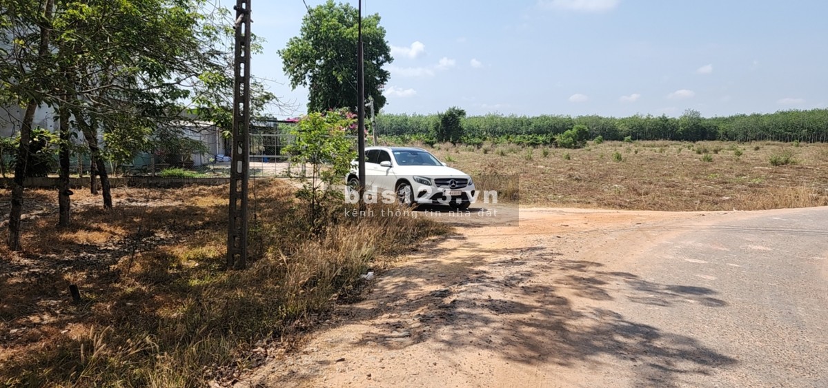 Kẹt ngân hàng cần thanh lý gấp hơn 1 sào đất MT đường nhựa 20m