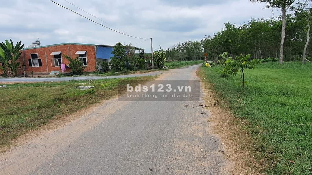Sỡ hữu nền đất full thổ cư ngây TP Tây Ninh giá chỉ 5xx SHR CC trong ngày