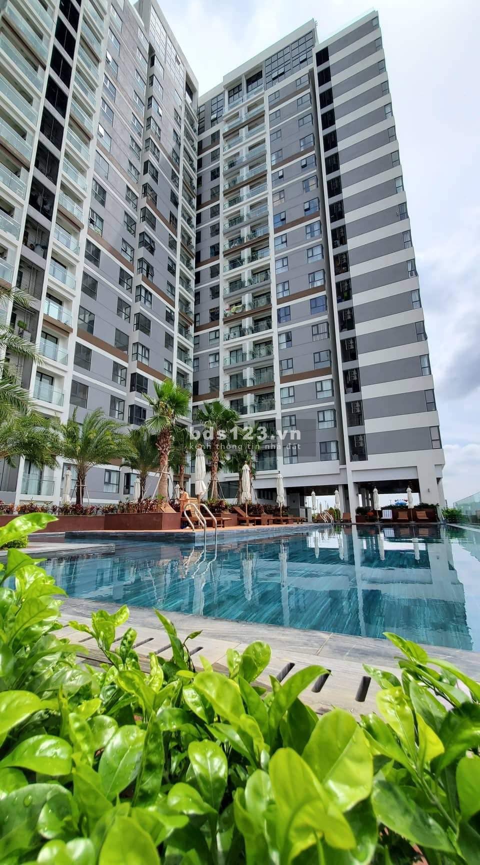 Cho thuê D'lusso căn 1pn=10tr/t có nội thất cơ bản