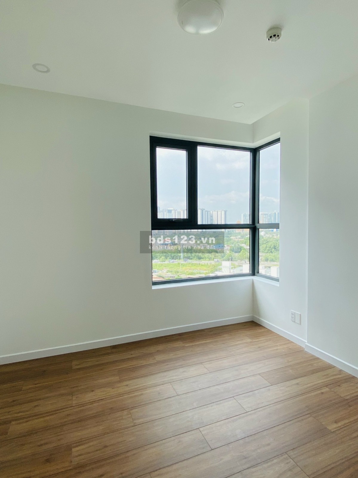 Cho thuê D'lusso căn 1pn=10tr/t có nội thất cơ bản