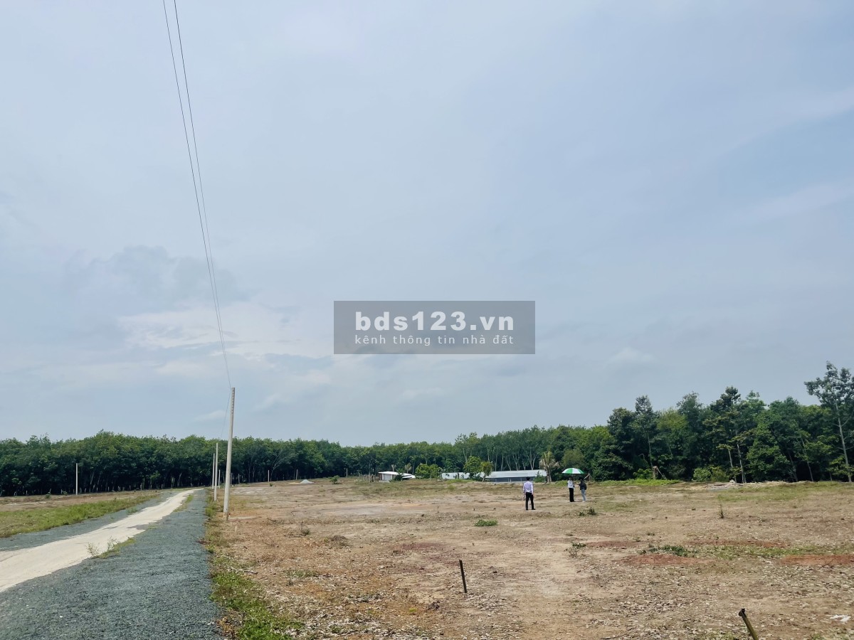 Siêu phẩm tại Hớn Quản, bán 2 lô tại Tân Quan 500m2, giá 580tr/ nền, SHR.