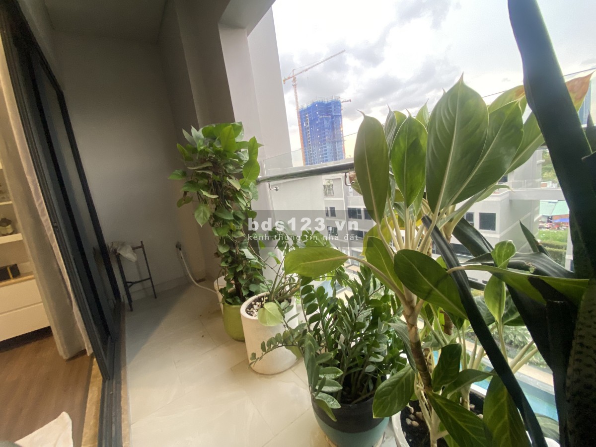 Cho thuê căn hộ D'VERANO 3PN giá hạt dẻ, view siêu đỉnh T5/2023