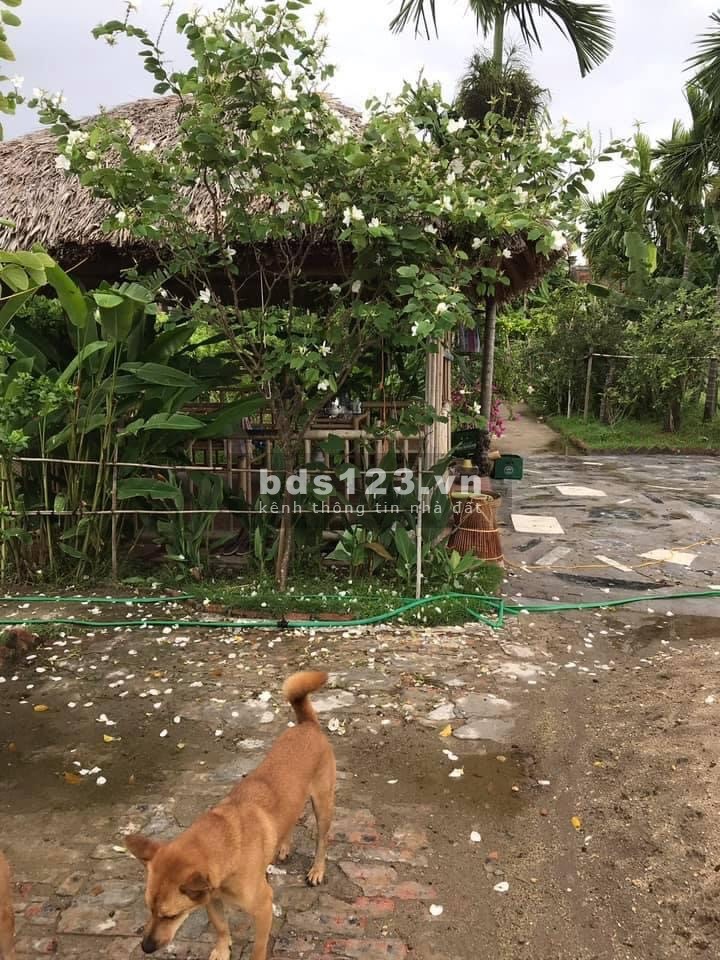 Chính chủ bán gấp 1500m2 đất mặt đường 36m đường Đỗ Mười kéo dài, Thuỷ Nguyên, Hải Phòng