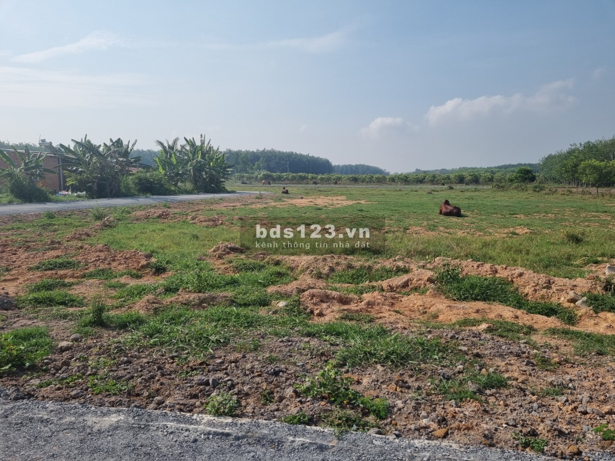Anh em bán nhanh nền đất full thổ cư 150m ở ngay tại Trung tâm Tp Tây Ninh