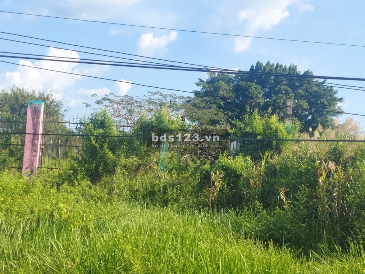 Đất MT QL1 Vĩnh Long, Tam Bình, Tân Phú