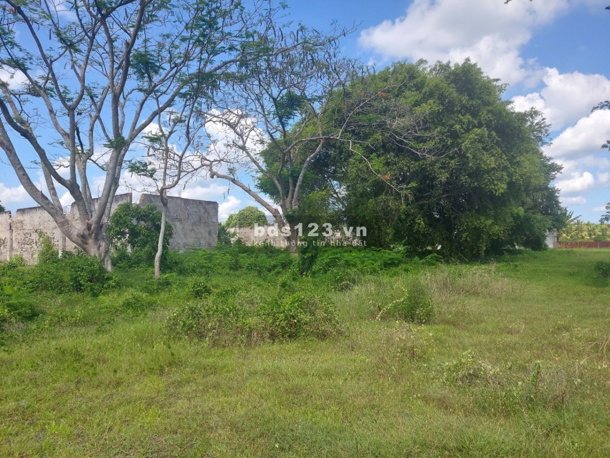 Đất MT QL1 Vĩnh Long, Tam Bình, Tân Phú