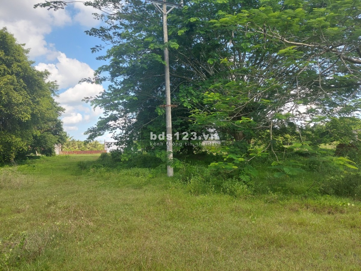 Đất MT QL1 Vĩnh Long, Tam Bình, Tân Phú