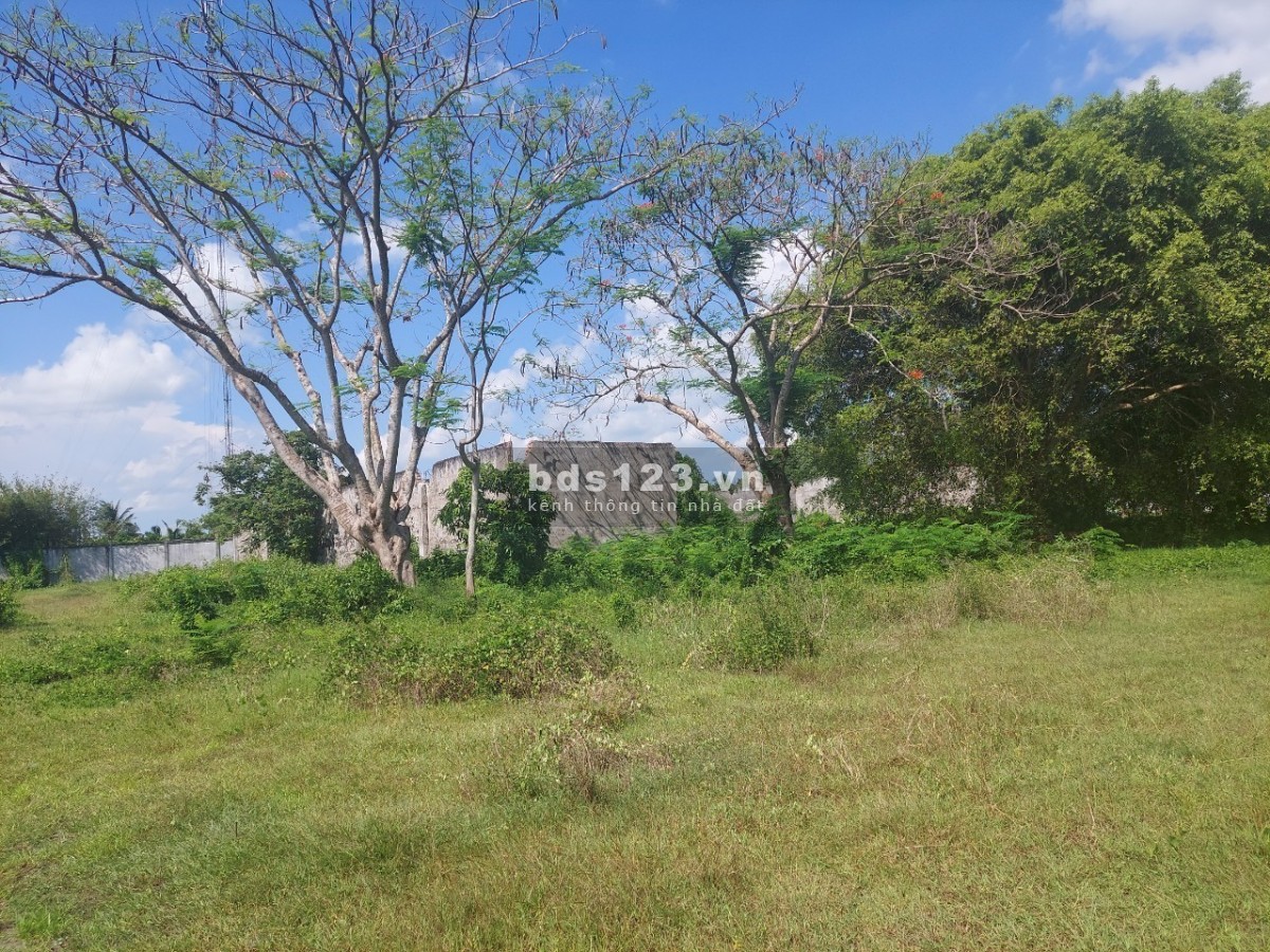 Đất MT QL1 Vĩnh Long, Tam Bình, Tân Phú