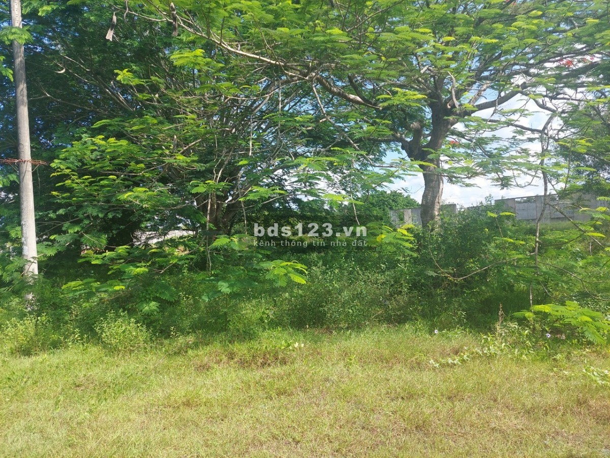 Đất MT QL1 Vĩnh Long, Tam Bình, Tân Phú