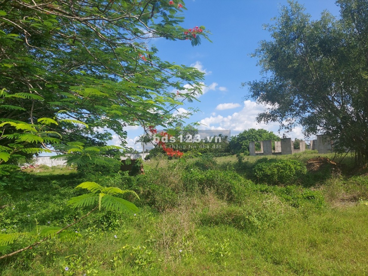Đất MT QL1 Vĩnh Long, Tam Bình, Tân Phú