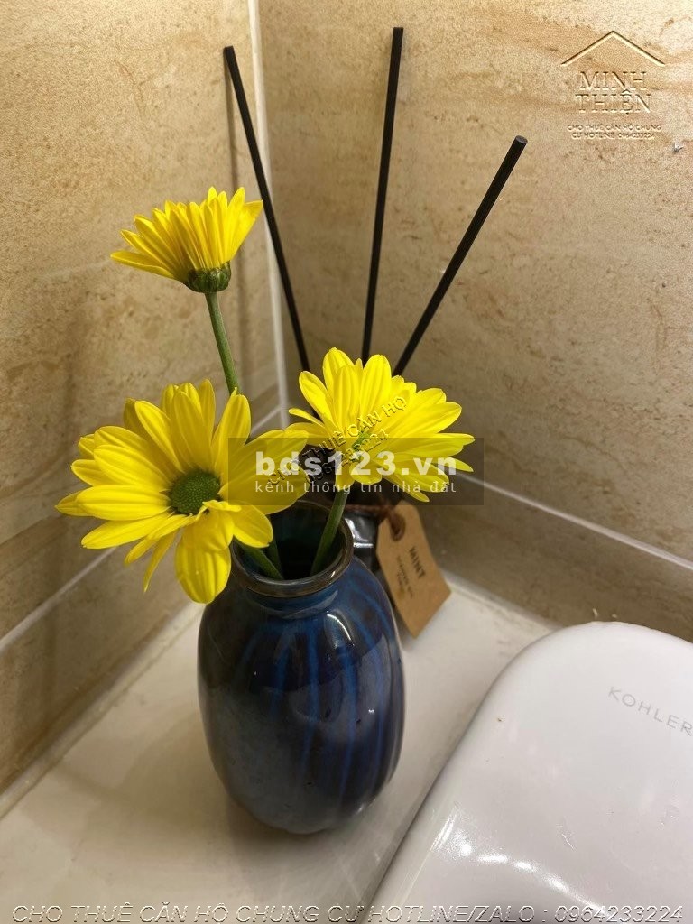( Chung Cư Vinhomes Dcapitale Trần Duy Hưng ) Cho Thuê Căn 2 Ngủ 1 Vệ Sinh Full Giá Thương Lượng