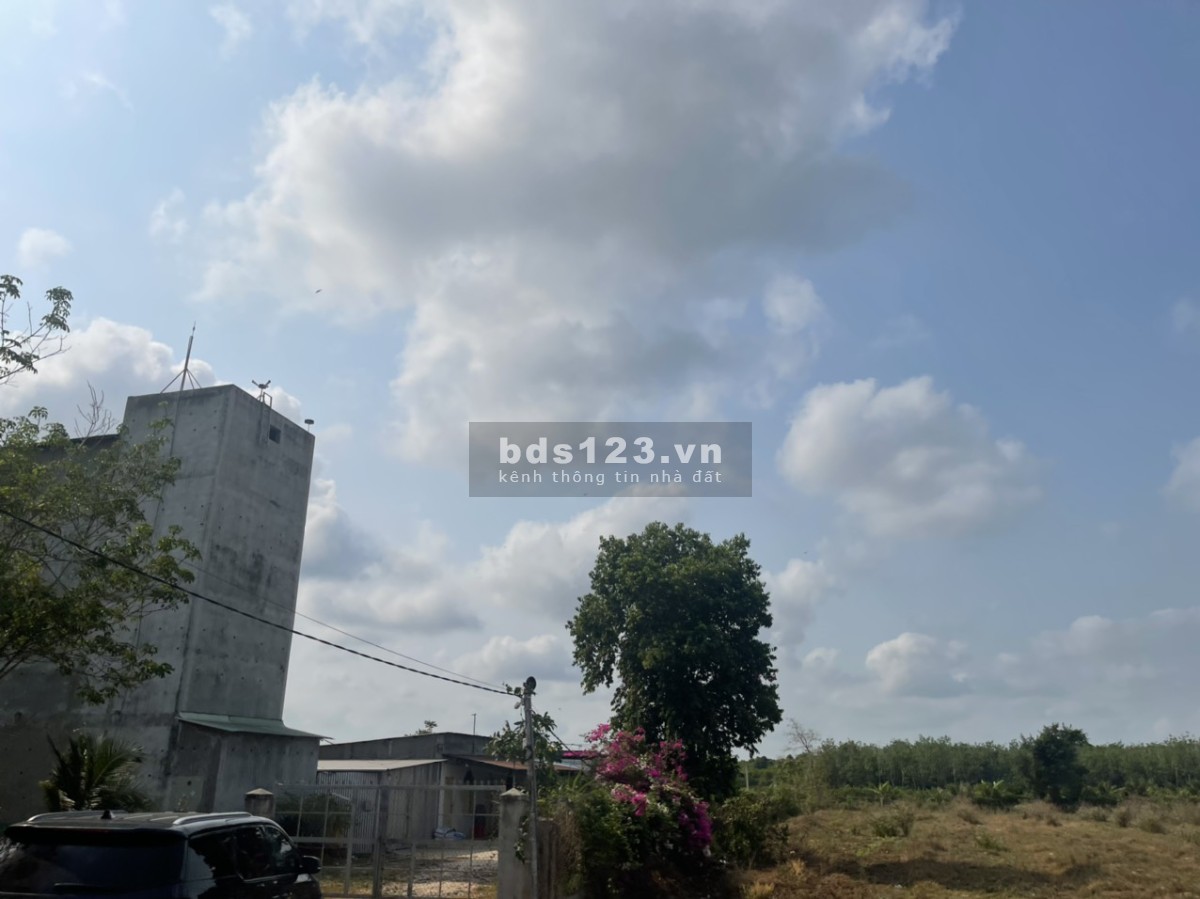 Ngộp nên cần bán ra gấp hơn 1000 m đất vườn QH đường 20m đường thông mát mẻ