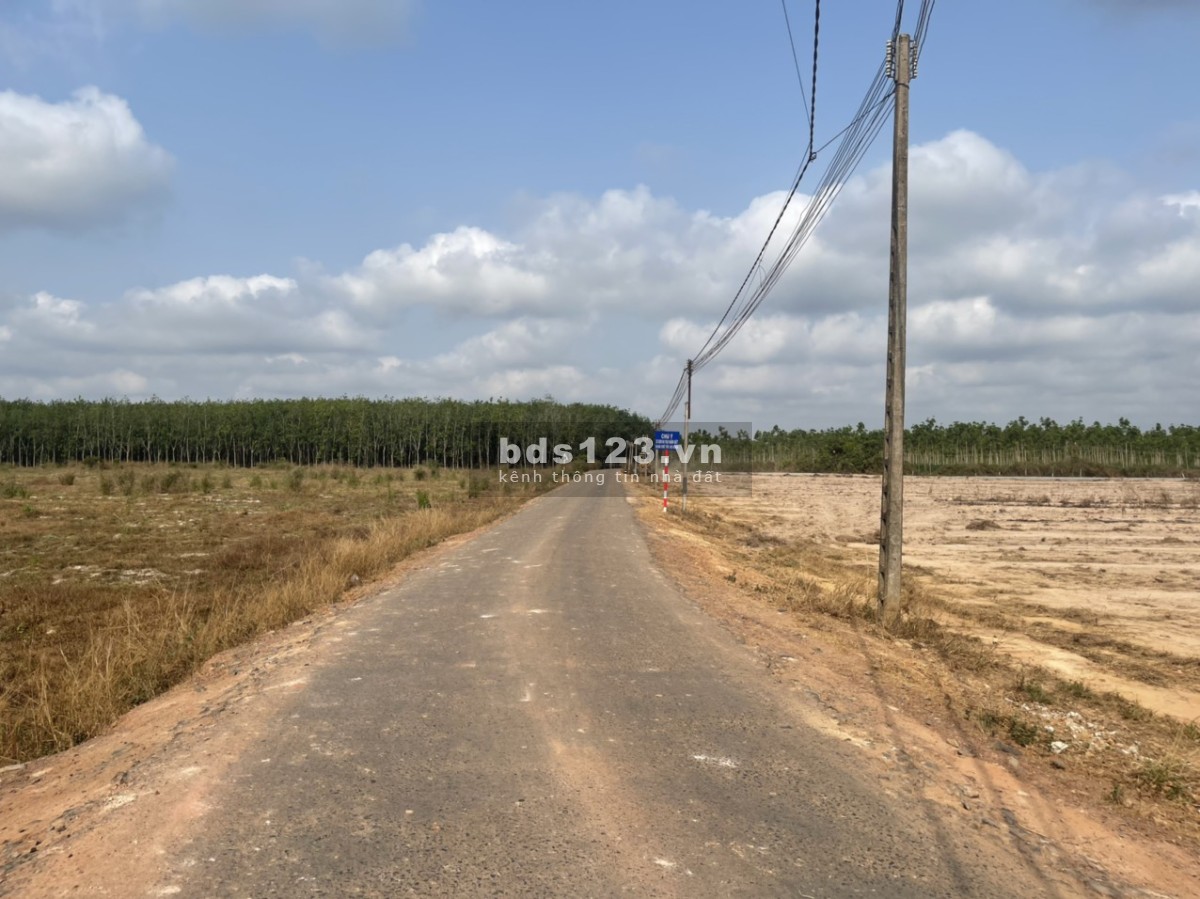 Ngộp nên cần bán ra gấp hơn 1000 m đất vườn QH đường 20m đường thông mát mẻ