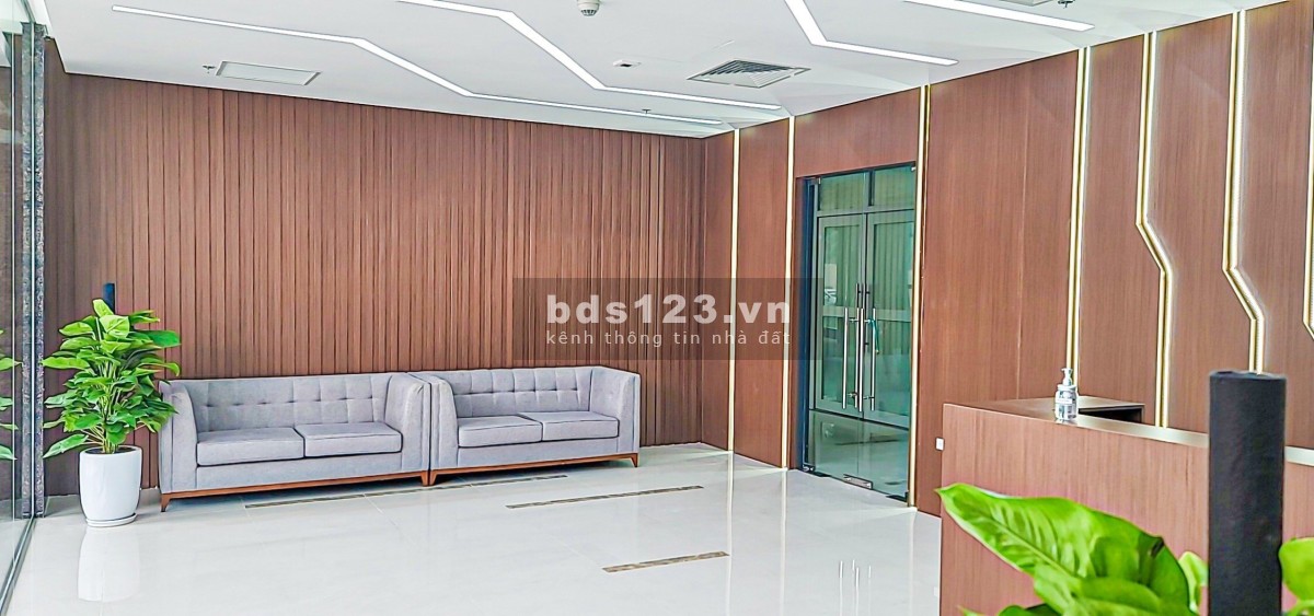 Chủ đầu tư cho thuê mặt bằng siêu thị, chân đế chung cư tại 6th Element