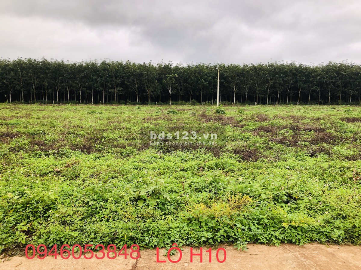 Chủ cần bán lô đất mặt tiền tại Phú Lộc – Krông Năng