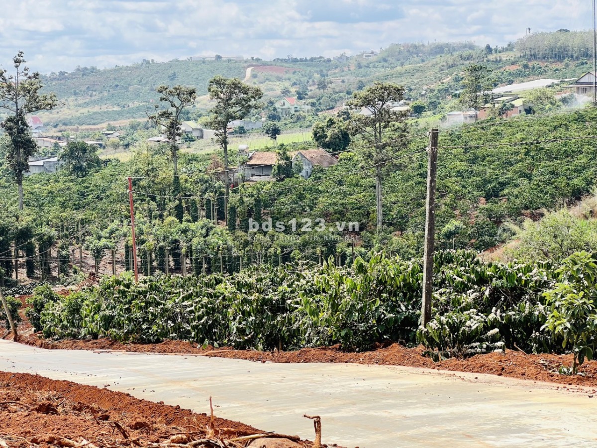 Trao tay chủ mới, lô đất 1095m2 có 200m2 thổ tại kdc phía nam tp đà lạt