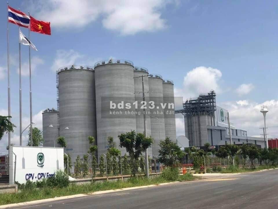 “Gấp gấp” cần bán nhanh lô đất 1010m2 giá 230tr để cho con gái đi du học.