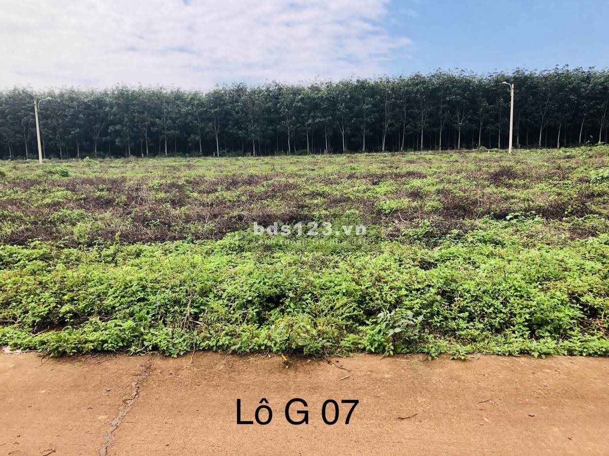 Bán đất mặt tiền Phú Lộc, vị trí cực thông thoáng ngay tại khu dân cư