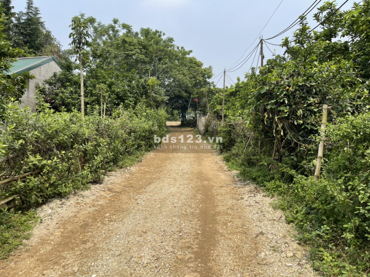 299t tr có ngay 500m đất ở tại Tân Lạc-HB bám đường 15m, đường thông các ngả, gần ủy ban, trường học