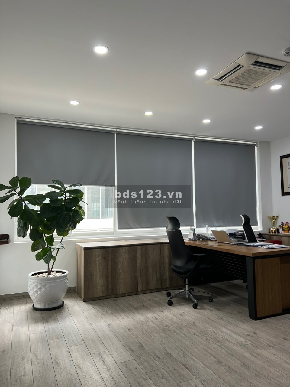 Hot Hot cho thuê Shophouse chỉ 110 triệu full nội thất cao cấp