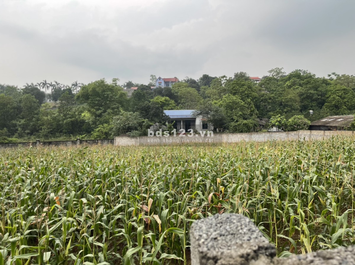Bán đất nghỉ dưỡng gần sân golf skylake tại lương sơn hòa bình,1200m giá hơn 2 tỷ lh 0982876689