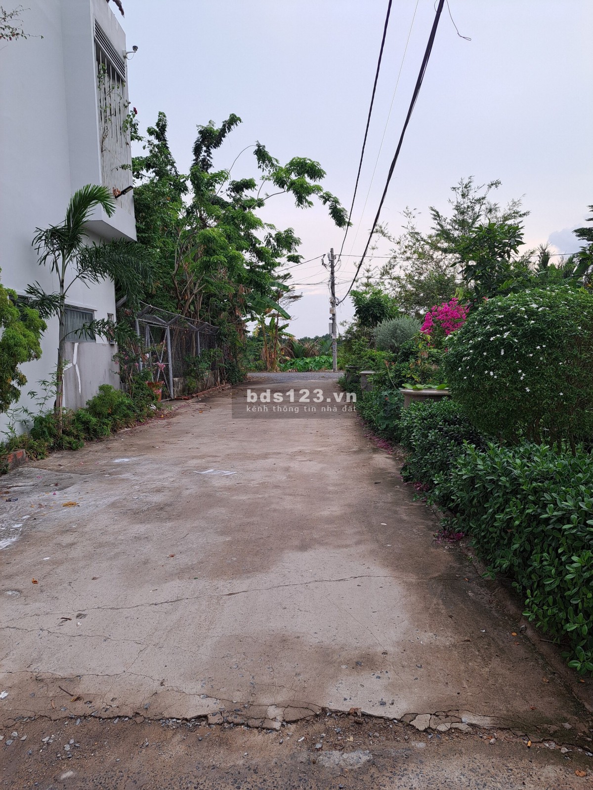 Cho thuê nhà view sông, sát Emart, Vincom Gò Vấp, yên tĩnh thoáng mát, thuận tiện di chuyển