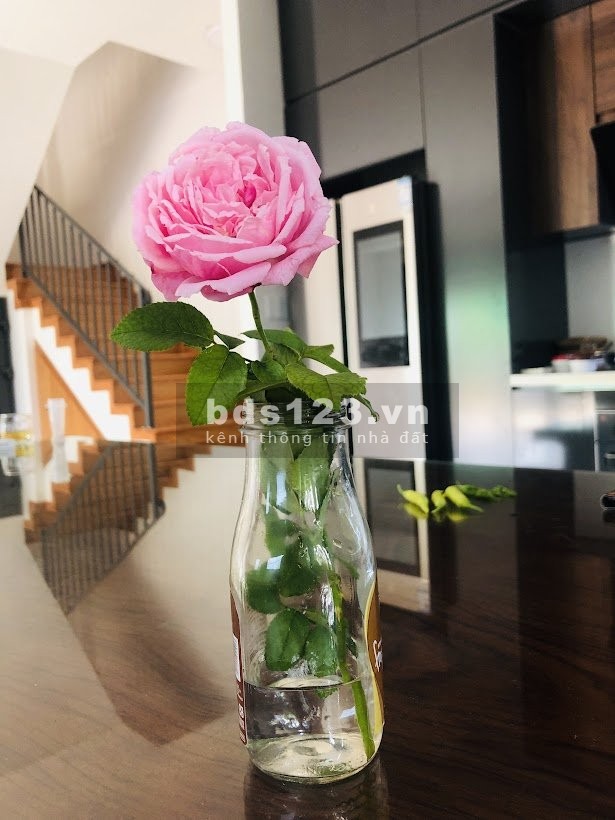 Cho thuê nhà view sông, sát Emart, Vincom Gò Vấp, yên tĩnh thoáng mát, thuận tiện di chuyển