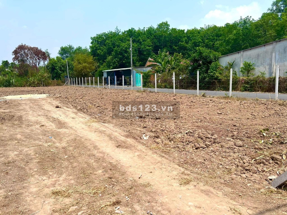 Cần thanh lý lô đất mt đường nhựa 12m cách đường tỉnh lộ 15 900m SHR