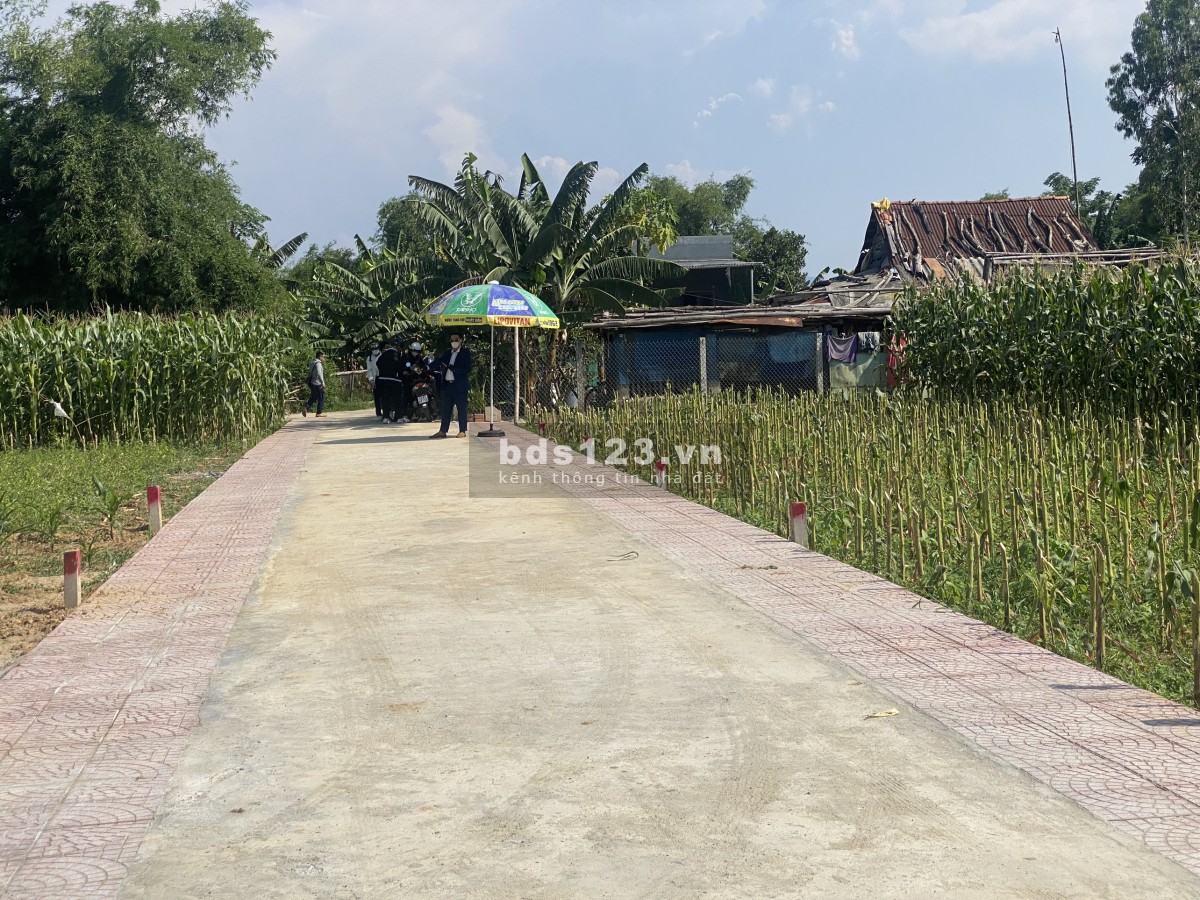 Đất ở Đại Quang giá chỉ từ 330 triệu/ nền