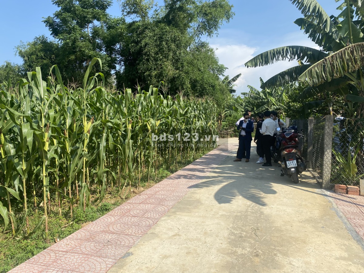 Đất ở Đại Quang giá chỉ từ 330 triệu/ nền