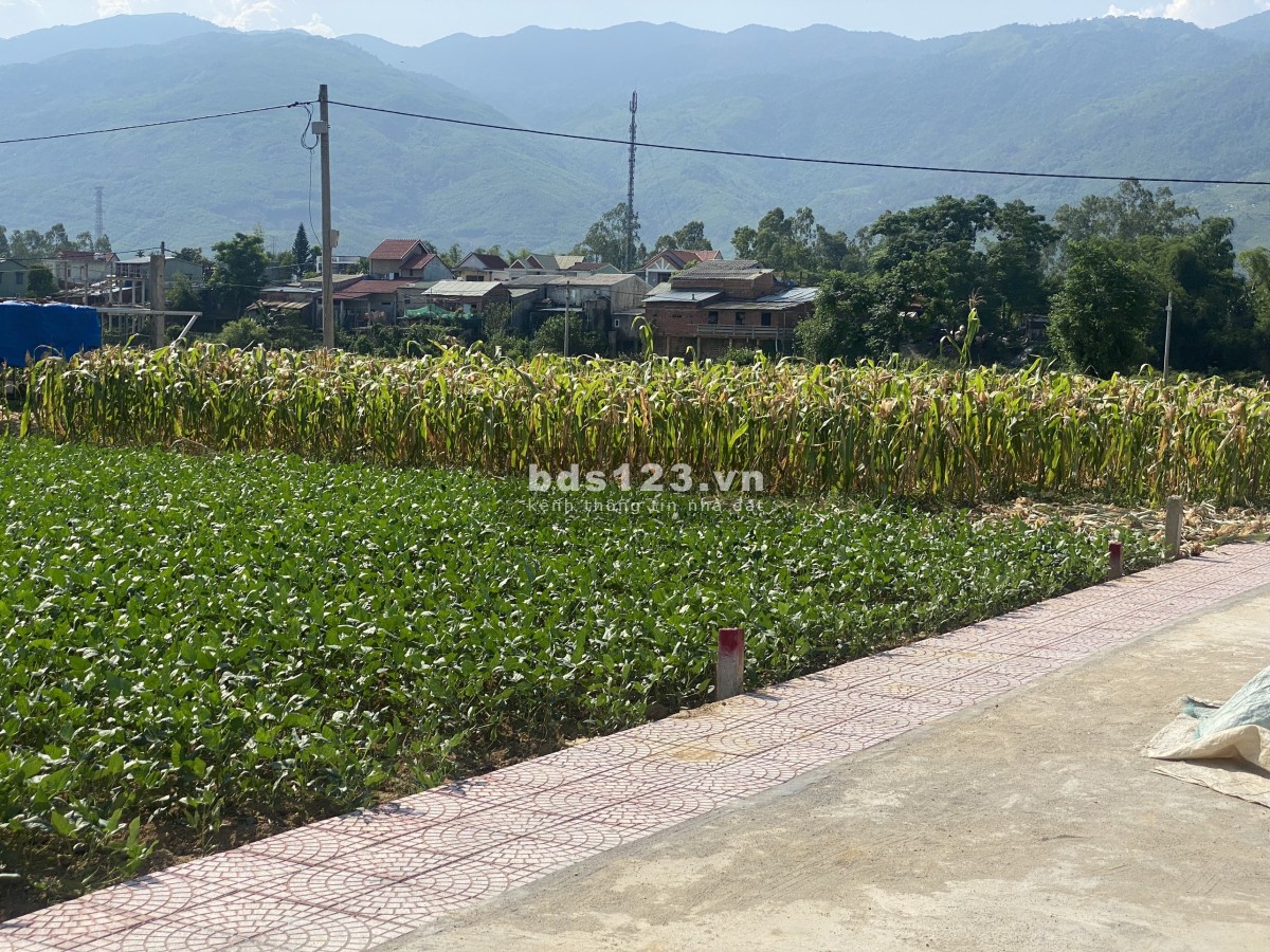 Đất ở Đại Quang giá chỉ từ 330 triệu/ nền