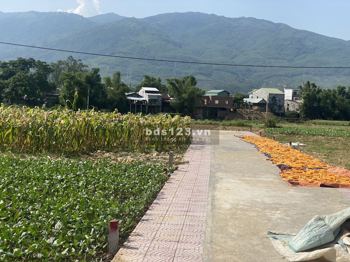 Đất ở Đại Quang giá chỉ từ 330 triệu/ nền
