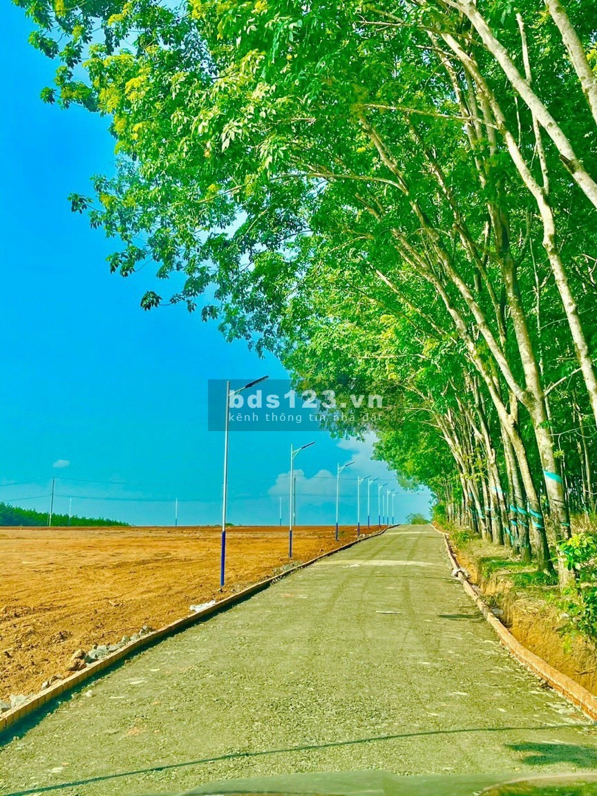 Cần ra gấp lô đất View hồ giá chỉ 1tr/1m2