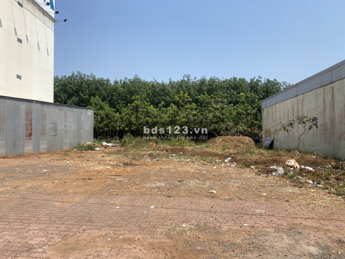 Bán đất mặt tiền QL1A tiện đầu tư kinh doanh
