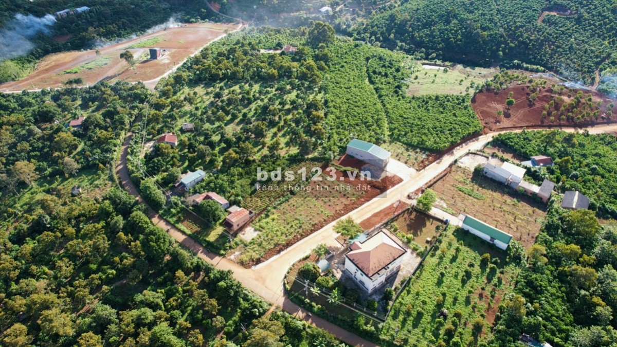 Bán đất 2 lô f0 mặt tiền đường nhựa Tân Lạc. Bảo Lâm. Lâm Đồng