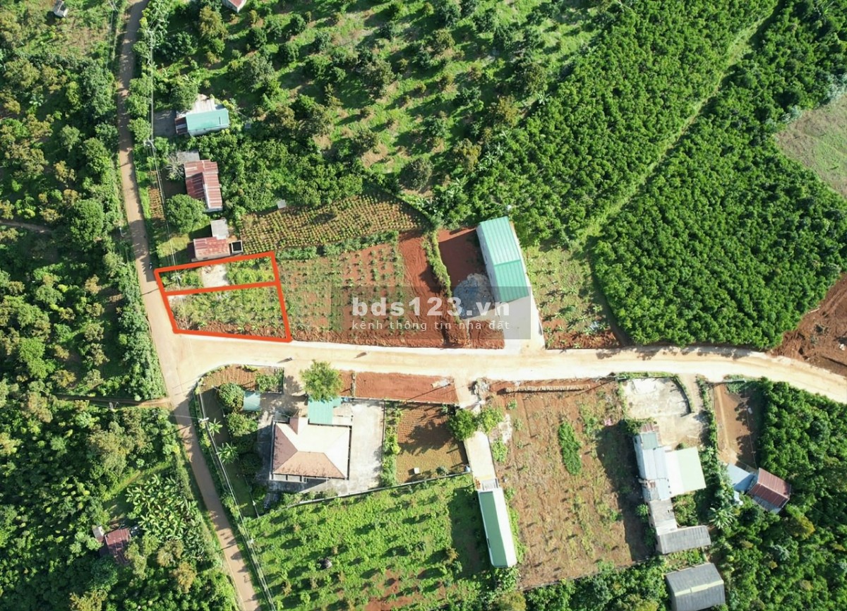 Bán đất 2 lô f0 mặt tiền đường nhựa Tân Lạc. Bảo Lâm. Lâm Đồng