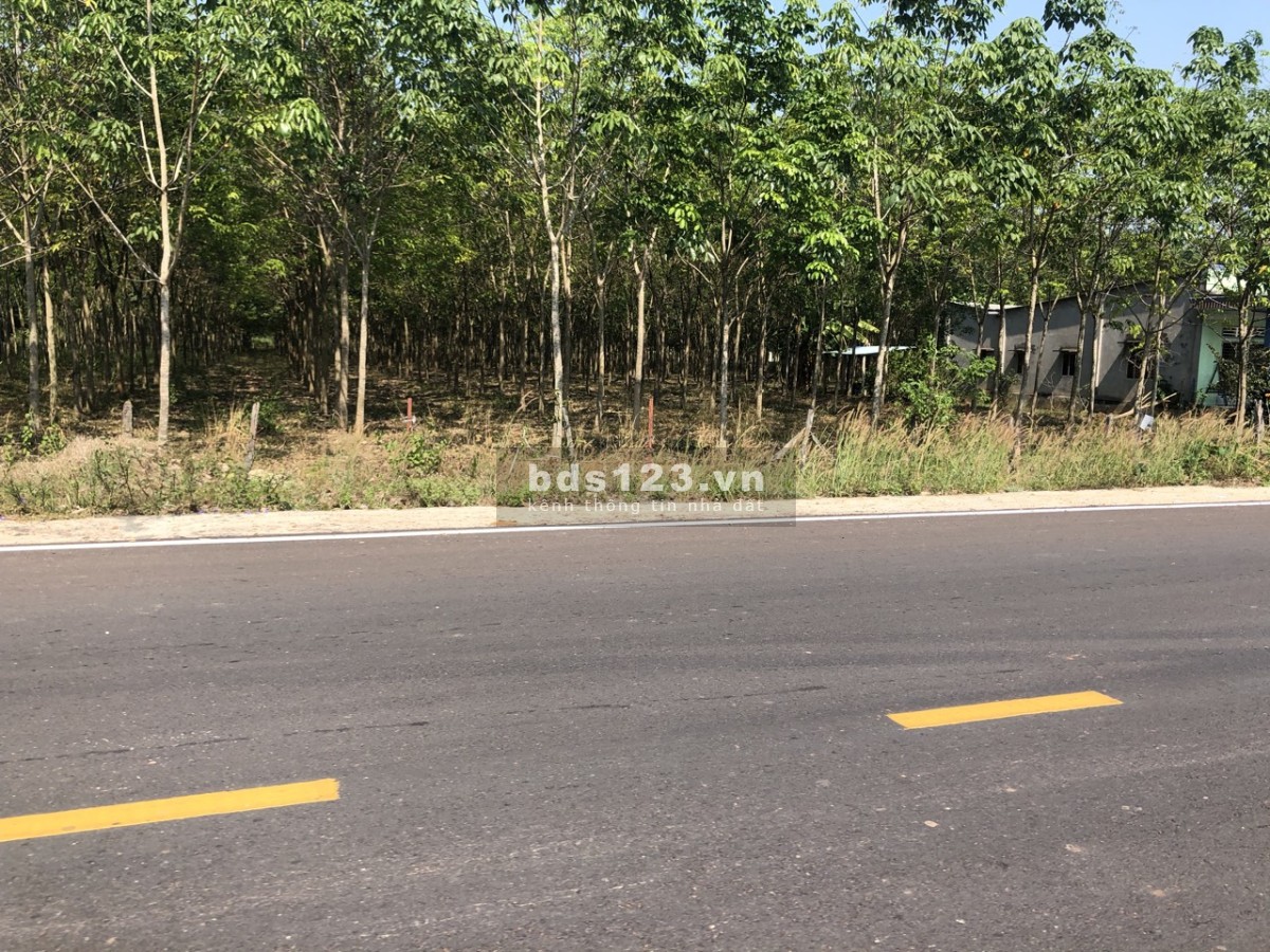 Bán nhanh 2 lô đất liền kề có thổ cư giá 520tr giá 668tr đối diện ubnd Nha Bích ql14 đi vào 5p