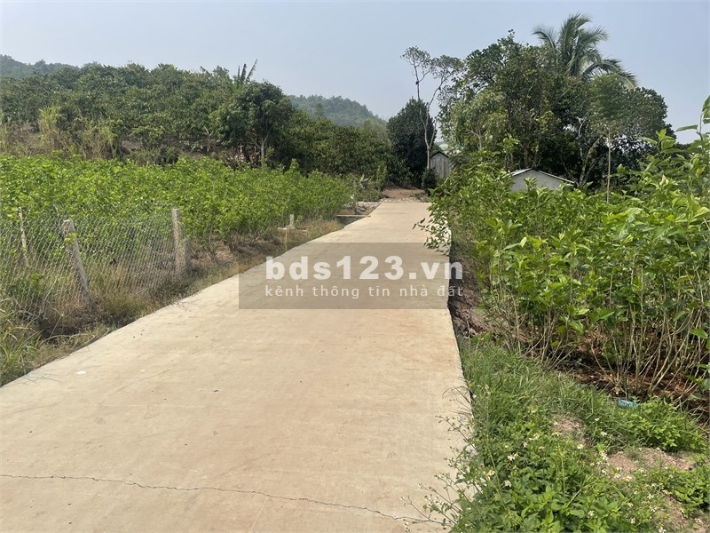 Vỡ nợ chính chủ cần gấp bán đất, sổ hồng riêng
