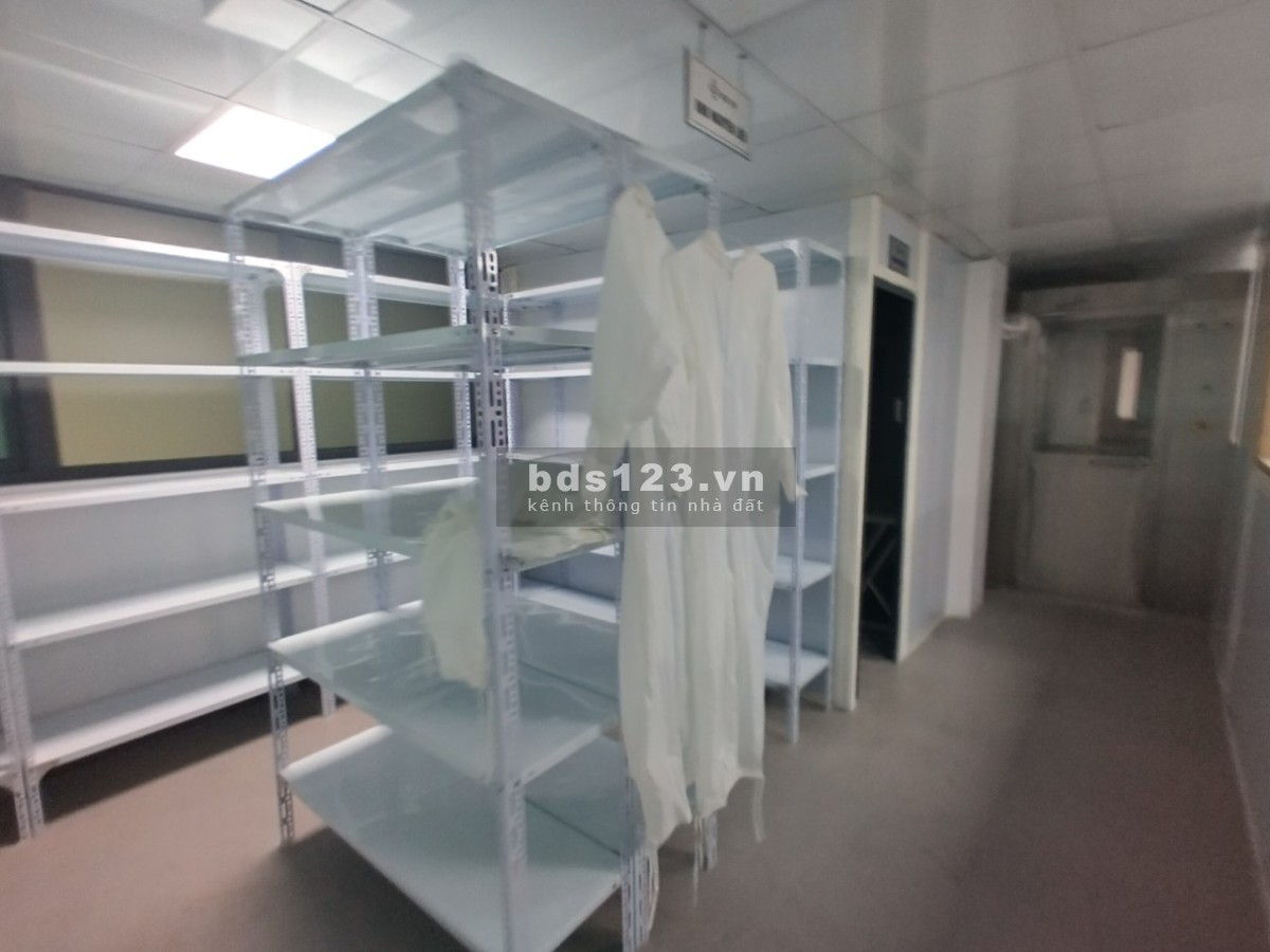 Cho thuê mặt bằng kho 550m2 ở Tôn Đức Thắng. Có sẵn phòng khử trùng, phòng lạnh. Thuê mọi lĩnh vực
