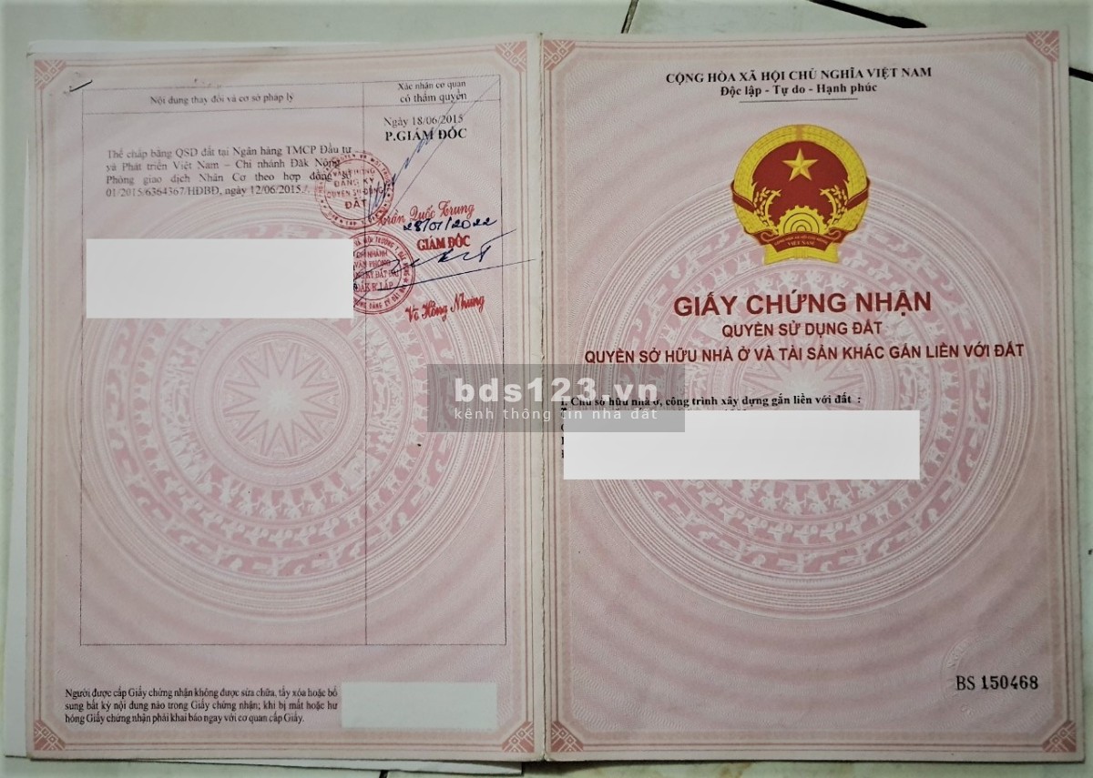Chính chủ cần bán vườn sầu riêng 1ha, Nhân Đạo, Đắk R'Lắp, Đắk Nông. Sổ hồng riêng, 1.85 tỷ