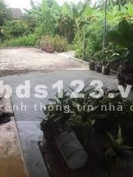 Cần bán nhà vườn Diên An giá rẻ!