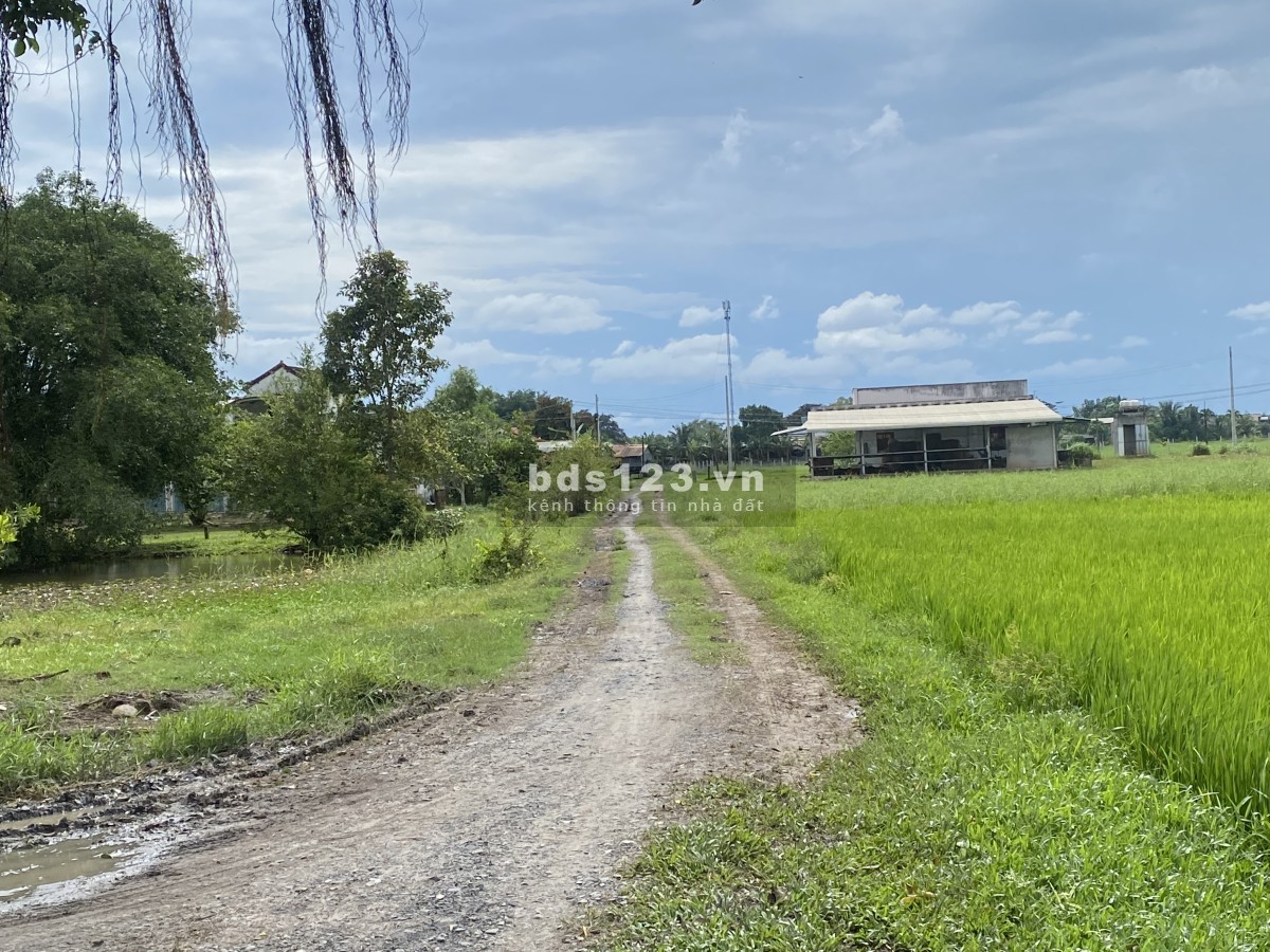 Đất Lên Khu Dân Cư 1900m Đức Hoà Long An có sổ